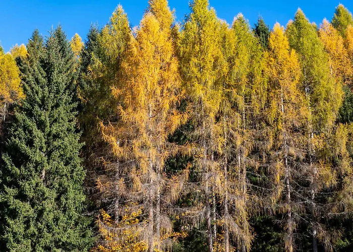 Wonderful Monte Civetta In Dolomites Daire *